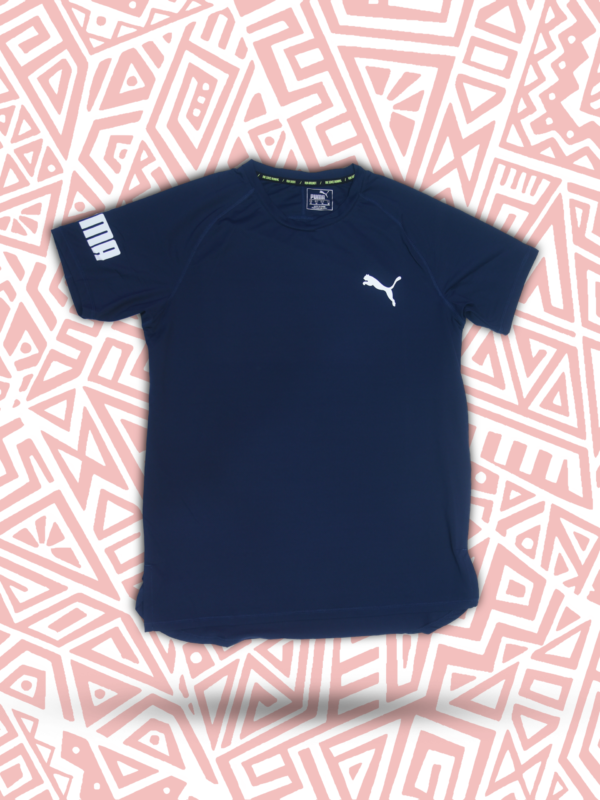 PUMA Dri Fit T Shirt  – Blue Performance T-Shirt